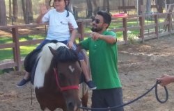 AT TERAPİ
