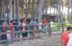 AT TERAPİ