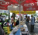 antalya rehabilitasyon